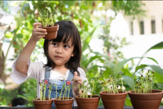 Child with plant pot activity